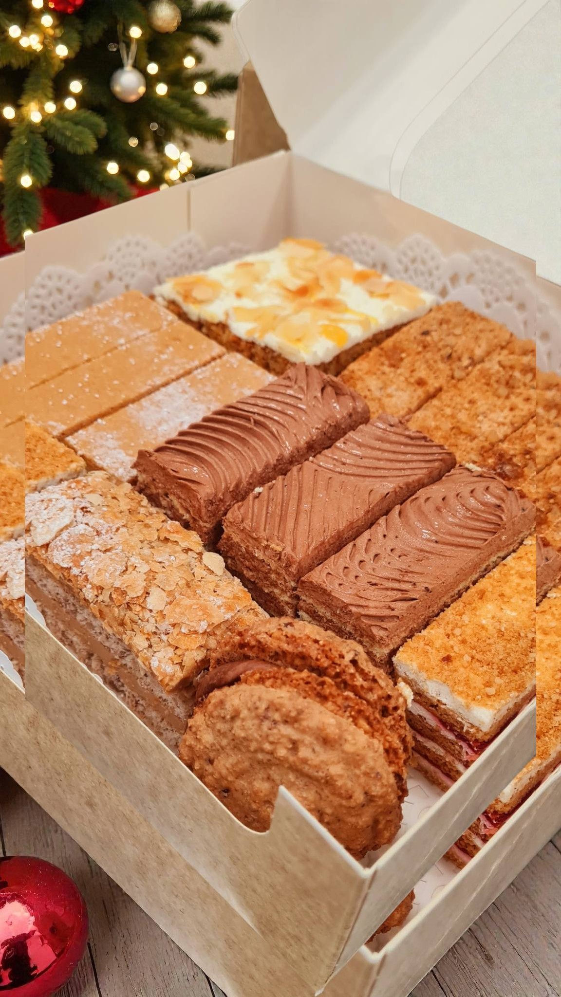 608887610_1331734162307123_709824914434845119_n